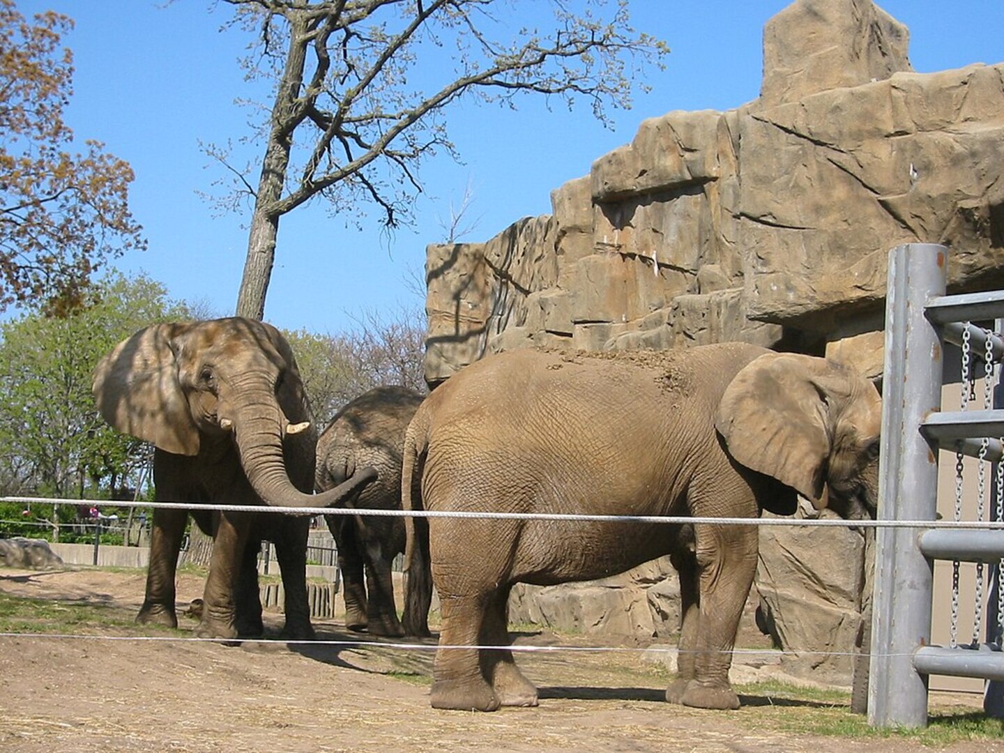 Lincoln Park Zoo Chicago